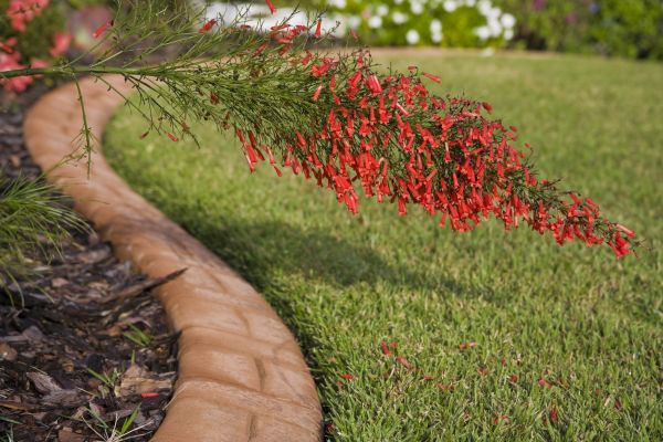 Brick Edging in Amarillo