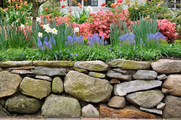 Stone Wall Hardscaping in Amarillo