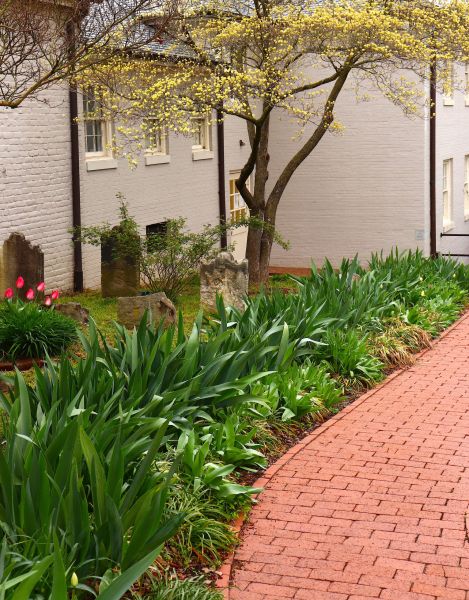Brick Flatwork Repair in Amarillo